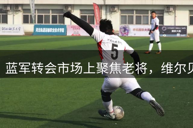 蓝军转会市场上聚焦老将，维尔贝克或成新援年龄之最